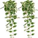 DILATATA Fake Hanging Plants Artificial Hanging Plants 92 Leaves Faux Peperomia Hanging Leaves Plants for Wall Shelf Home Indoor Outdoor Decor - 2 Pack