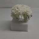 Hollyone Hydrangea Artificial Flowers with Vase White Silk Fake Flowers Arrangements in Glass Vase with Faux Water for Home Bathroom Office Table Centerpiece Shelf Decorations