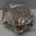 Giegxin Halloween Spanish Moss 41" Succulents Faux Moss Artificial Succulent Plants Fake Vines Hanging Plants Swamp Decoration Potted Artificial Hanging Garland(Brown, 12 Pack)