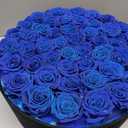 Prifroti 47 Roses in a Luxury Suede Box, Preserved Flowers for Women, Mothers Day Flowers for Mom, Blue