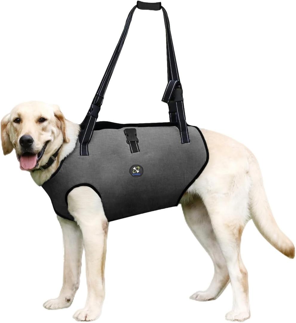 Coodeo Dog Lift Harness, Pet Support & Rehabilitation Sling Lift Adjustable Padded Breathable Straps for Old, Disabled, Joint Injuries, Arthritis, Loss of Stability Dogs Walk (Grey, XL) (Extra Large)
