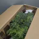 4FT Artificial Cedar Topiary Trees, 2 Pack in Pots