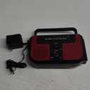 Digital Products International WR383R Crank Weather Radio & Flashlight
