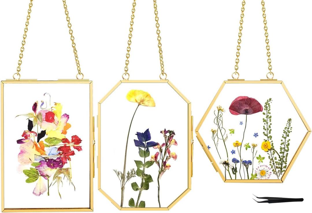 FOCHIER F 3 Pcs Pressed Flower Frames with Tweezers, Wall Hanging Double Glass Frames with Metal Chain for Pressed Dried Flowers Plants, Golden