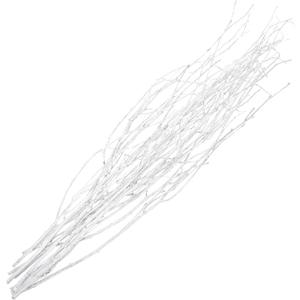 HOMSFOU Natural Birch Twigs 10pcs Artificial Branches Curly Willow Branches Decorative Dried Twigs Fake Sticks for DIY Greenery Plants Vases Home Office Decoration White