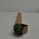 Hananona Artificial Pine Branches, 40 Pcs Christmas Faux Cedar Stems, Artificial Faux Cedar Branches, Fake Christmas Greenery Pine Picks for Wreath Craft DIY Home Kitchen Decorations (40, Green)