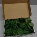 Felice Arts 12 Pack Green Artificial Roses Emerald Green Flowers with Stems Silk Roses Fake Flowers Bouquet for Christmas St Patricks Day Wedding Centerpiece Table Vase Home Kitchen Party DIY Decor