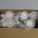 Energetic 24-Pack A19 LED Light Bulb, 60 Watt Equivalent, Daylight 5000K, E26 Medium Base, Non-Dimmable LED Light Bulb, ETL Listed