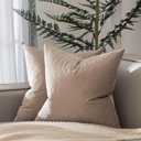 JUSPURBET Couch Pillow Covers Set of 2 Decorative Velvet 20x20 Throw Pillow Covers Cases for Living Room Bedroom Home Decor Soft Cushion Covers Cases with Hidden Zipper for Sofa Bed,Cloud