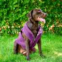 Tuff Pupper Reversible Fleece Sweater Vest for Dogs | Lightweight Comfortable Insulated Jacket | Front Zip Closure | Machine Washable | Built-in Leash Hole | Sizes for All Breeds (Small, Purple)