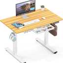SHW 40-Inch Electric Height Adjustable Standing Desk with Memory Preset and Cable Management Tray, Oak