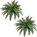 FOREST PRINCE Artificial Ferns, Set of 2 Bouquets 34" Fake Ferns with 39 Fronds for Decoraction Outdoors Garden Home