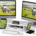 Simple Houseware Desk Dual Monitor Stand Riser with Drawer, White