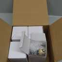 Retisee 4 Pack 75W Reptile Night Heat Lamp Simulate Moonlight Heat Bulb Purple Lamp Reptile Night Heat Bulb for Bearded Dragon Lizard Snake Chameleon Turtle Amphibians