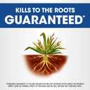 Roundup Weed and Grass Killer with Pump 'N Go 2 Sprayer, Use in and Around Flower Beds, Trees & More, 1.33 gal.