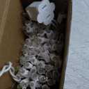 JOIEDOMI Christmas String Lights Indoor,100 Count Mini Warm Fairy Light,21.5FT Lighting Decor for Patio Dorm Classroom Bedroom Holiday Wedding Party Garland Birthday Festival Valentines Day,White Wire