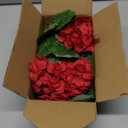 18'' Artificial Geraniums Silk Flowers Plants Realistic for Home Outdoor Decor Garden (2, Ruby Red)