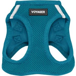 Best Pet Supplies - All Weather Mesh, Reflective, No Pull Harness for Small, Medium Dogs, Cats - Secure with Hook & Loop Fastener, Buckle, Double D-Rings - Turquoise, M (M (Chest: 16 - 18"))