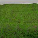 SCITOY Artificial Moss Mat, Soft Simulated Moss Mat, Faux Moss, DIY Festive Landscape Showcase Decoration (C-100x100cm/3.3x3.3ft) (Green)