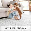 5x7 Area Rugs for Living Room, Bedroom, Playroom, Dining Room, Office - Machine Washable, Neutral Grey, Soft Boho Carpet