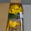 Sunflower LED Lamp,USB Rechargeable Touch Night Light, 3 Color Stepless Dimmable,Small Battery Flower Decor for Bedroom, Restaurant, Bar  Birthday, Mothers Day,Wedding Gifts for Women,Mom