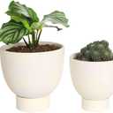vensovo White Terracotta Self Watering Plant Pot - 2 PCS 6 Inch & 8 Terra Cotta with Drainage Hole and Saucer, Small & Large Clay Flower Pot with Tray, Plant Pot for Indoor Outdoor