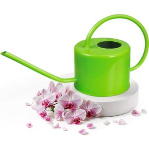 Plexon Long Spout Watering Can Indoor Plants, 40 oz Small Watering Can Pot Metal for Garden Flowers House Plants Mini, Powder Coated, for Mom Girlfriend Daughter, Green