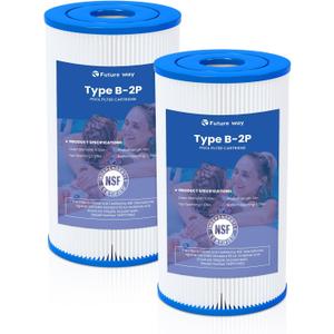 Future Way 2 Pack Type B Pool Filter Cartridge Replacement for Intex 29005E & 2500 GPH Pump, Fits Easy Set Above Ground Pools