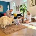OLANLY 2x4 Machine Washable Runner Rugs for Hallway, Soft Fluffy Shaggy Bedside Rugs for Bedroom, Living Room, Indoor Floor Carpet for Kids Girls and Boys, Nursery Rooms, Home Decor Aesthetic, Khaki