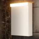 24x16 Inch LED Bathroom Medicine Cabinet with Mirror - 4000K Warm White Light, Adjustable Shelves, Moisture-Resistant Wood, Flat-Pack Design  Assembly Required