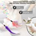 Interactive Cat Toys for Indoor Cats, Automatic Hanging Door Feather Toy Mouse & Ribbon Wand Teaser,USB-Rechargeable Self Play Chase Exercise Feather Toys for Bored Indoor Adult & Kitten Cats