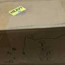 Globlazer Heavy Duty Cactus Cat Tree for Large Cats, Sturdy 72in Maine Coon Cat Tree for Large 20 lbs+ Cactus Cat Tower for Adult Biggest Cats with 6 Scratching Posts, Hammock, S72, Green