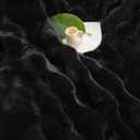 chovy Black Blanket for Couch - Bread Grid Rabbit Plush Soft Warm Blanket for Sofa Livingroom Bedroom Dorm Decor - 50x60 Inches