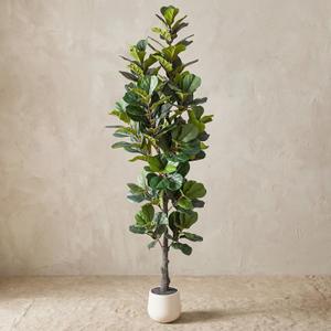 6FT Ultra-Full & Lush Artificial Fiddle Leaf Fig Tree for Home Decor 171 Lifelike Leaves, Large Faux Plants Indoor, Artificial Plants Indoor for Office Living Room Interior Decor Housewarming Gift