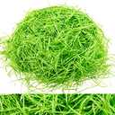 Whaline Basket Grass Craft Shredded Tissue Raffia Gift Filler Paper Shreds for DIY Gift Packaging Easter Basket Filling Egg Stuffer Party Supplies Accessories Decoration, 120g, 4 Oz (Green),Set of 2