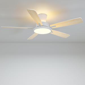 TALOYA 52 inch Ceiling Fans with Lights,Remote Control Multifunctional Quiet Fan with Three Color Temperature and Dimmable Light with Reversible Blades White/Natural