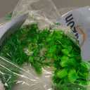 23.6 Inch Tall Aquarium Plants  Large Lifelike Artificial Fish Tank Decorations, Fish Tank Plants Plastic2 Pcs Adjustable Length, Durable & Safe for Freshwater/Saltwater Aquariums (Green (Style A))