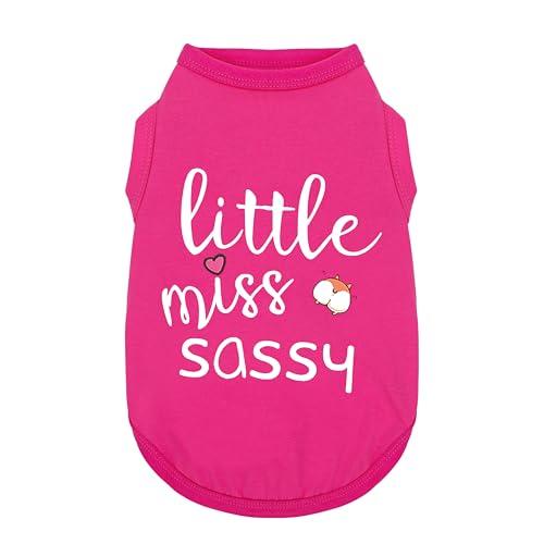 Paiaite Dog Clothes Fashionable Sleeveless Pet Vest: 'Little Miss Sassy' Printed Cotton Dog Shirt, Ideal for Small, Medium, and Large Breeds, Ensuring Comfort and Breathability Rose Red XS Paiaite Dog Clothes Fashionable Sleeveless Pet Vest: 'Little Miss Sassy' Printed Cotton Dog Shirt, Ideal for Small, Medium, and Large Breeds, Ensuring Comfort and Breathability Rose Red XS