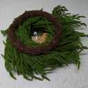 24 Inch Real Touch 2 Pcs Norfolk Pine Wreath Christmas Decorations for Front Door, Artificial Plants Green Christmas Wreath with Lights Home Decor, Xmas Decor for Mantel Wall Holiday Winter Decor