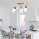 3-Light Gold Tracking Lights, Multi-Directional Rotating Ceiling Tracking Lighting Fixture with Clear Glass, Modern Bathroom Ceiling Vanity Lights Track Lighting Kits for Kitchen Accent Shop