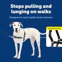 PetSafe Easy Walk Harness for Dogs - Pull-Free Walks - Patented Martingale Loop Design - Front Chest Leash Attachment - Comfort Straps - Breathable Harness Design - Medium/Large, Charcoal/Black