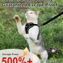 Cat Harness and Leash for Walking Escape Proof Soft Adjustable Cat Leash Breathable Comfortable Vest Easy to Wear Kitten Harness for Outdoor Travel, Black, M