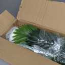 Artificial Palm Tree 4FT, Suntee Fake Tree with White Tall Planter 2 Pack, Faux Tropical Areca Floor Plant in Pot, Artificial Silk Plant for Home Office Living Room Decor Indoor