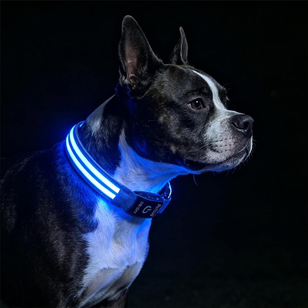 PetIsay Dog Light up Collar for Night Walking - High Visibility LED Dog Collar - Rechargeable - Waterproof - Reflective - Adjustable Lighted Glow Collars(Blue, Medium) (14" - 19")