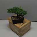 Artificial Bonsai Tree Juniper Faux Plants Indoor Small Fake Plants Decor with Ceramic Pots for Home Table Office Desk Bathroom Shelf Bedroom Living Room Farmhouse Decorations