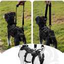 OneTigris Dog Lift Harness for Small Dogs XS, Dog Sling Carrier for Small Dogs, Full Body Lift Harness with Reflective Straps, Dog Support Harness for Back Legs