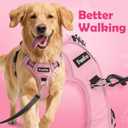 Funfox Dog Harness No Pull, Adjustable Pet Vest Harness, Super Soft Material with Vertical Handle Easy Control, Reflective Night Walking, 2 Leash Clips for Small Sized Dogs, Pink