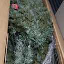 7ft Artificial Christmas Tree Spruce Hinged w/1260 Mixed PE & PVC Tips