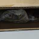 Display Easel, Metal Round Tube Scroll Vintage Gold Decorative Adjustable Floor Standing Easel with Chain Support, Perfect for Showcasing Pictures, Artwork, Picture Frame Wedding Sign Etc