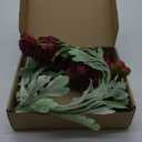 Htmeing 6PCS Artificial Geranium Bush Decorative Silk Flower Artificial Plant for Outdoors or Indoor (Wine red)